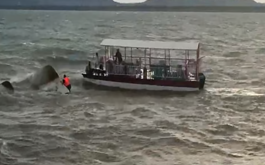 Cruise Boat Accident