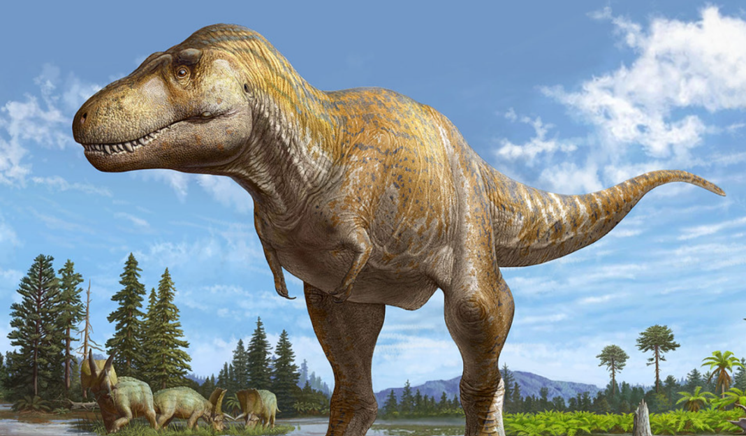 Dinosaurs and Human Aging Study