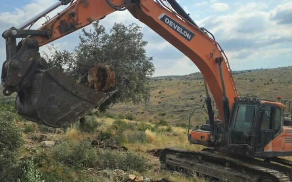 West Bank Settler Violence