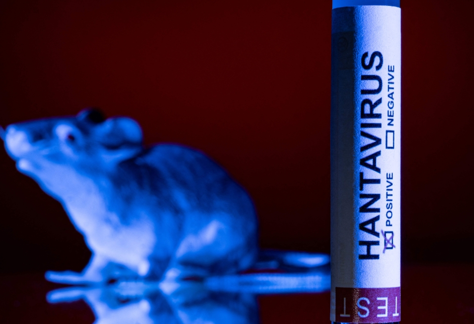 Hantavirus Outbreak