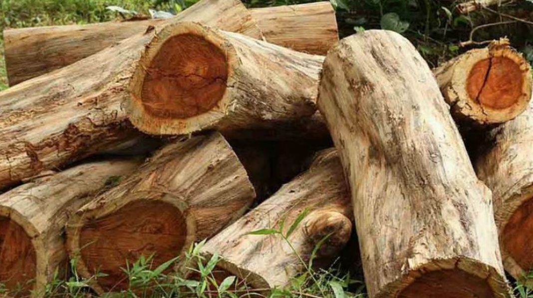 Muttil Tree Felling Case