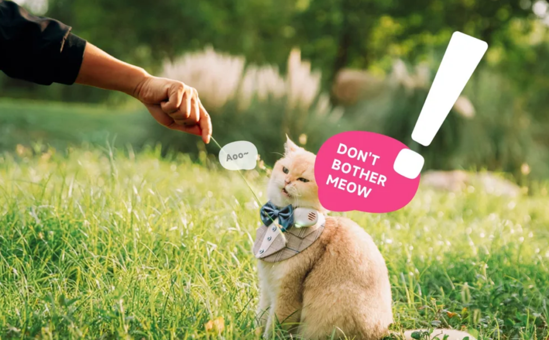 Chinese Startup Pet Translator