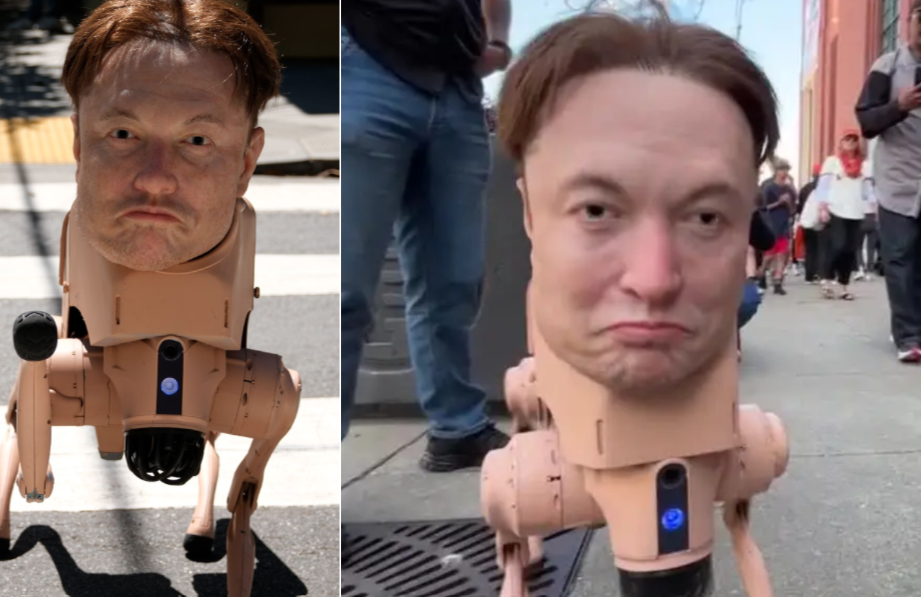 Elon Musk Robot Dog San Francisco Streets