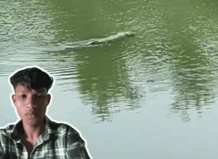 Vadodara Crocodile Attack