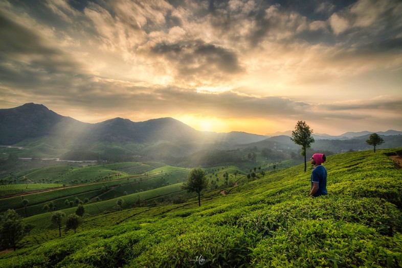 Munnar Tourism