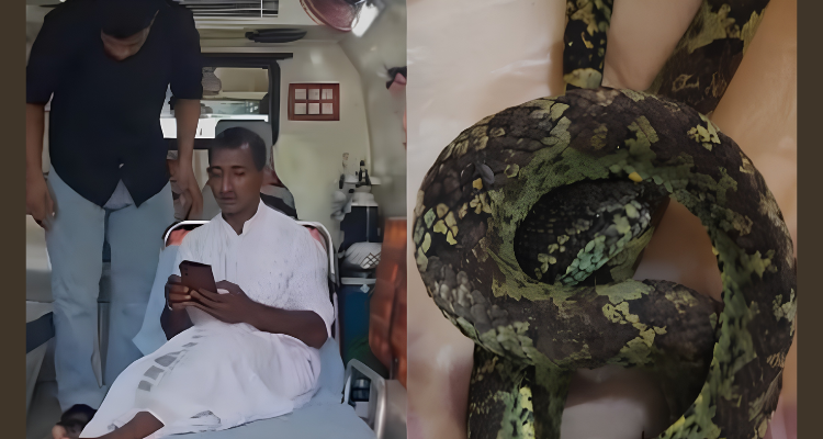Snake Bite Kozhikode