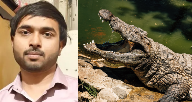 man crocodile attack UP