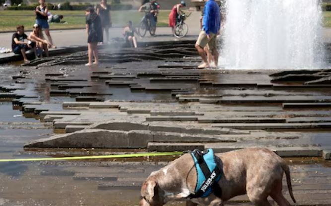 Europe records deadliest heatwave