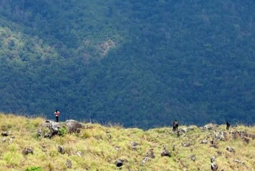 Ponmudi Ecotourism