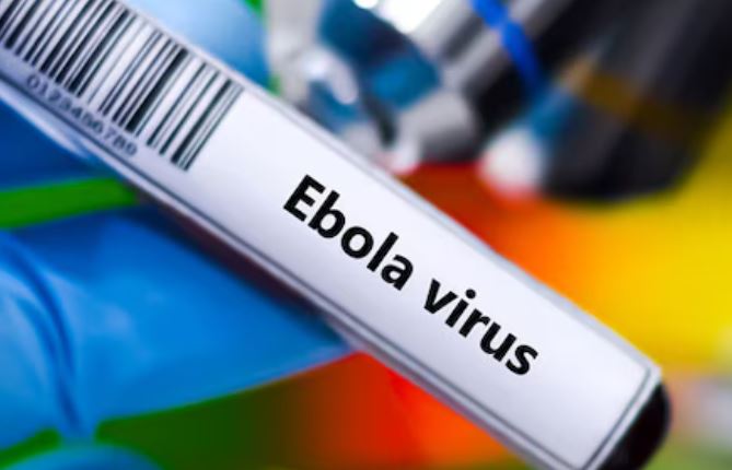  Ebola Scare