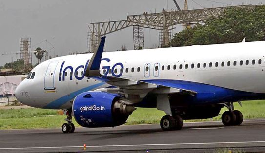 Indigo Flight