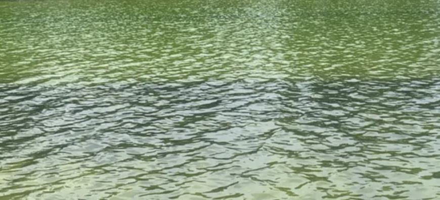 Lincoln Memorial Reflecting Pool