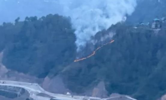 Two forest fires