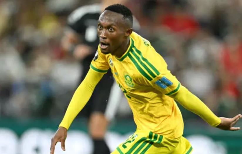  South Africa vs South Korea