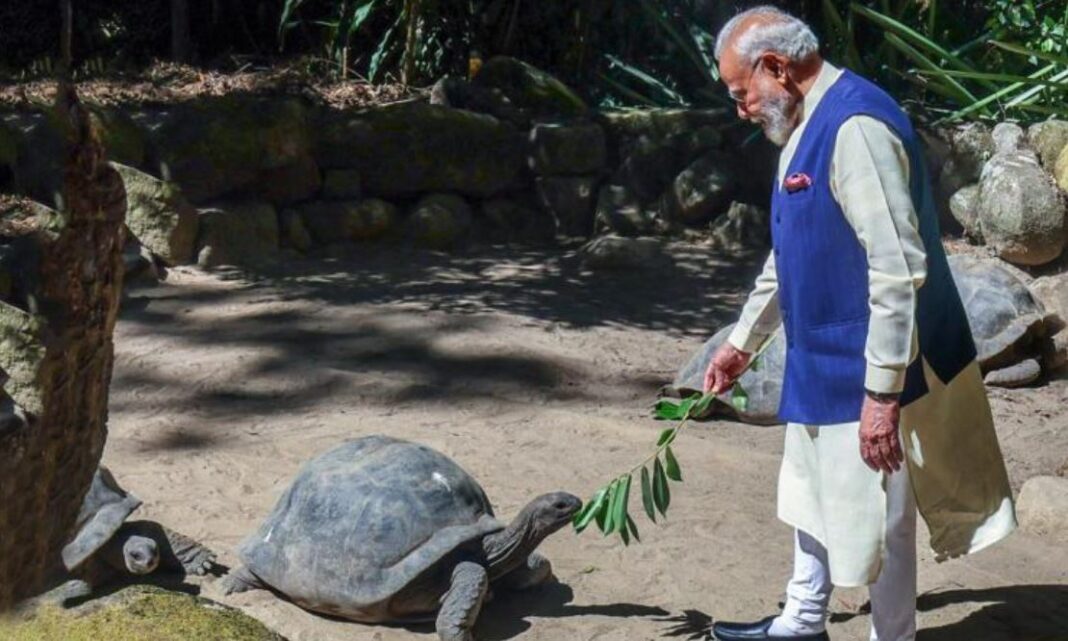 PM Modi