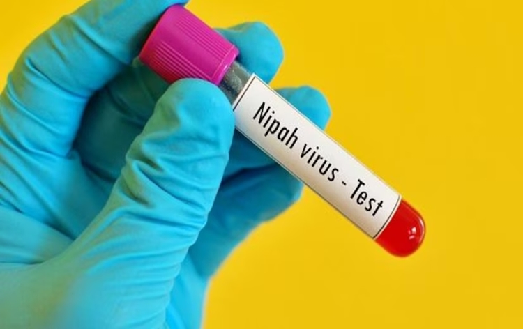 Kozhikode Nipah virus negative results