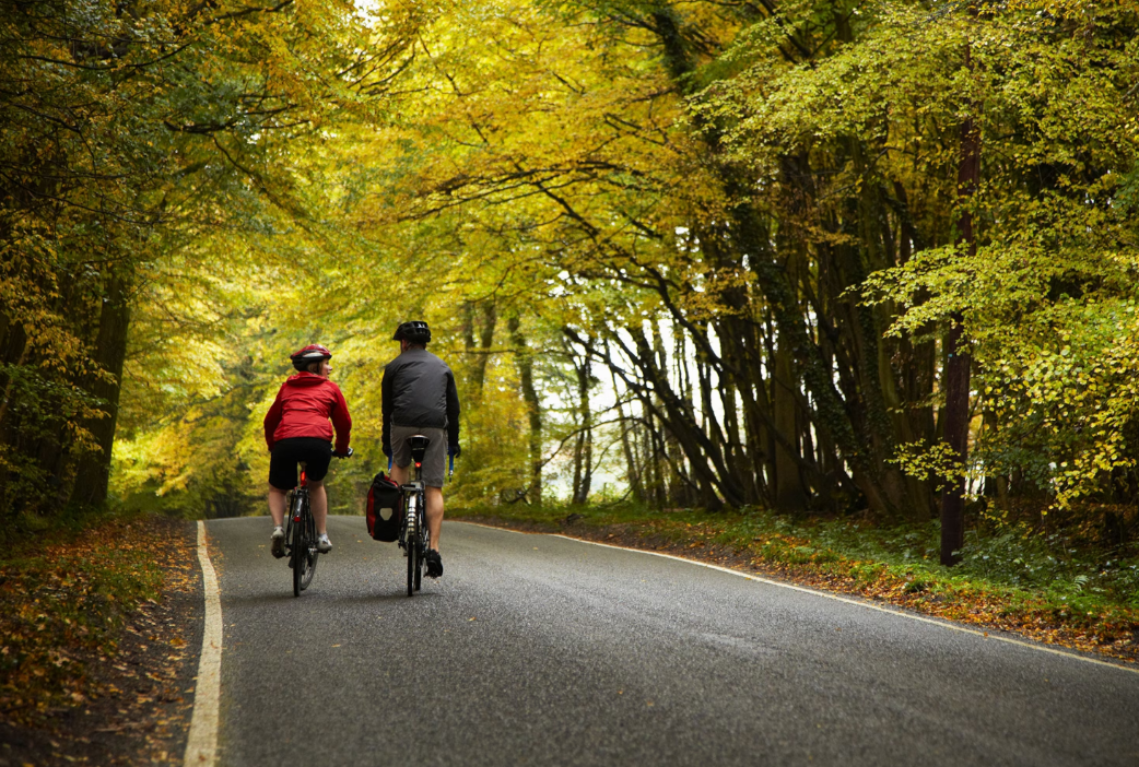 World Bicycle Day