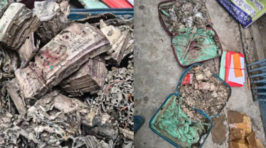 Termite Infested Cash Kolkata College