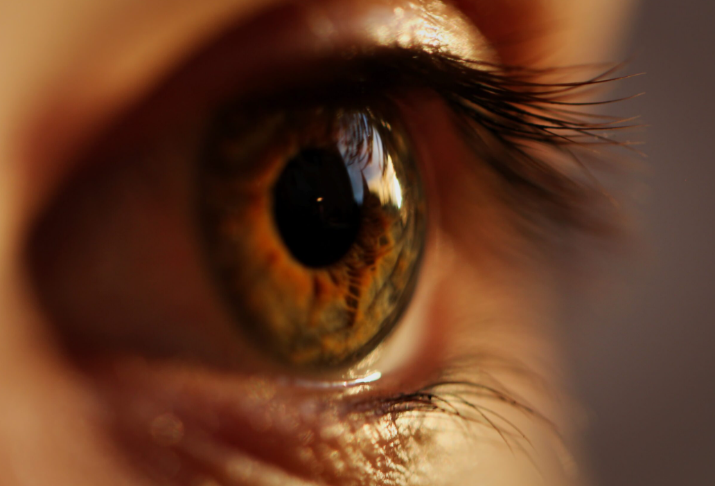 EYE