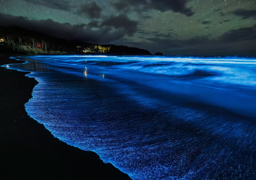Bioluminescent Oceans: The Sea of Stars