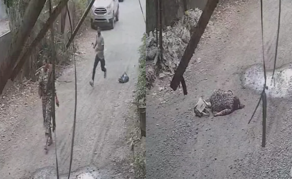 Palghar Stabbing Incident