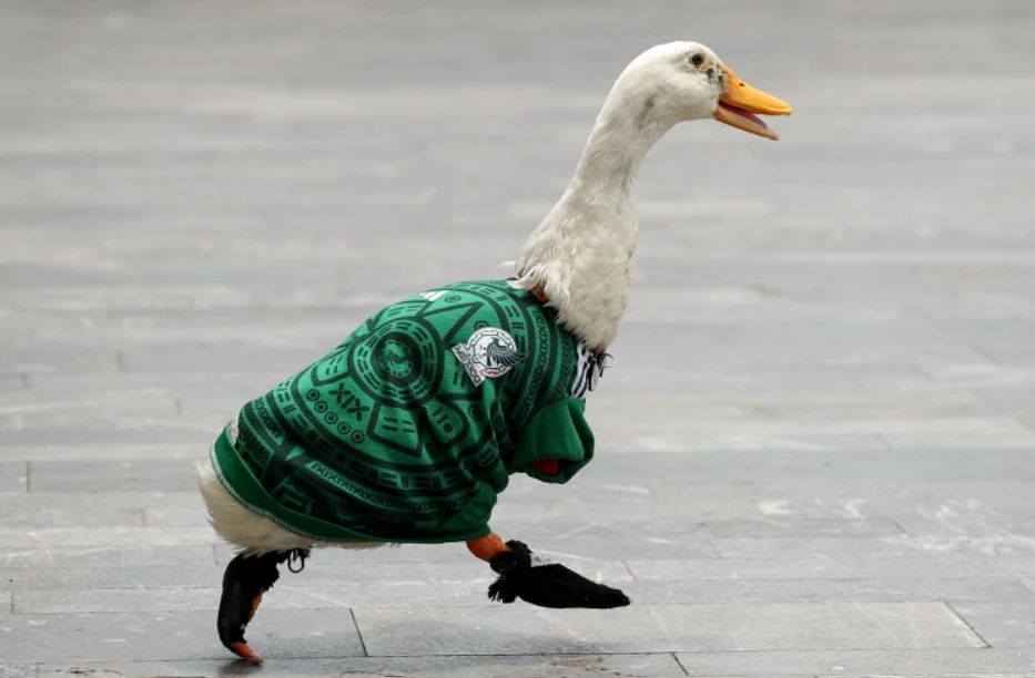 Merlin Duck FIFA Ban