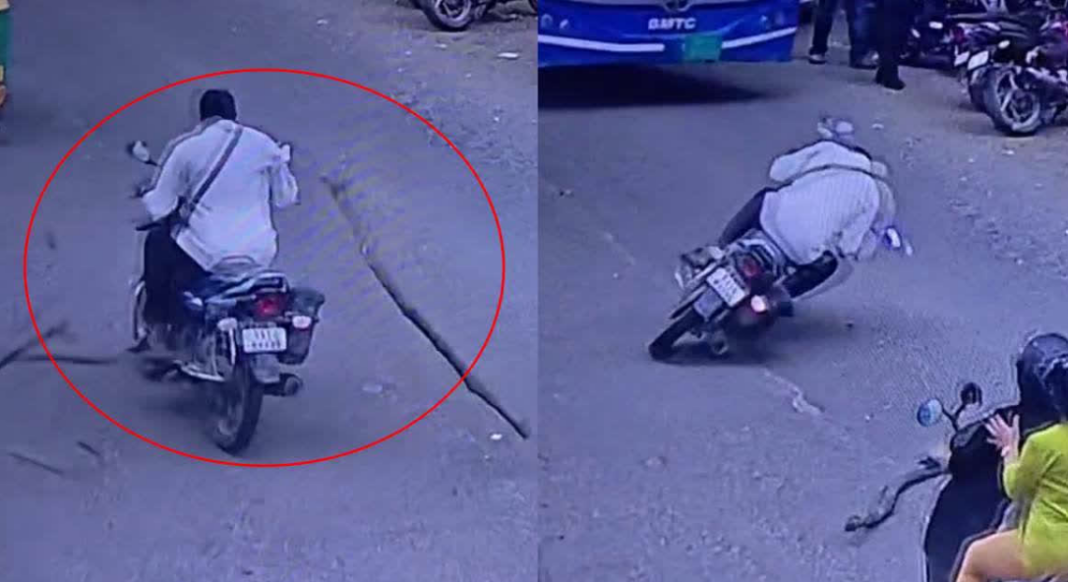 Bengaluru Tree Branch Accident