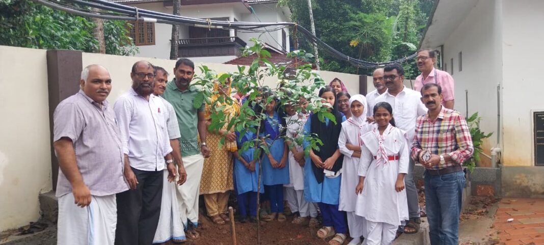 Vazhakkad Govt UP School environment day