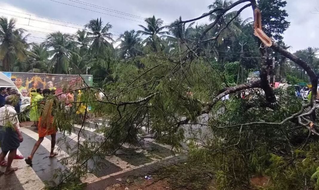 Kozhikode Ullyeri road accident