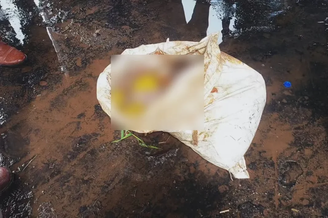 human skull found Pamba river
