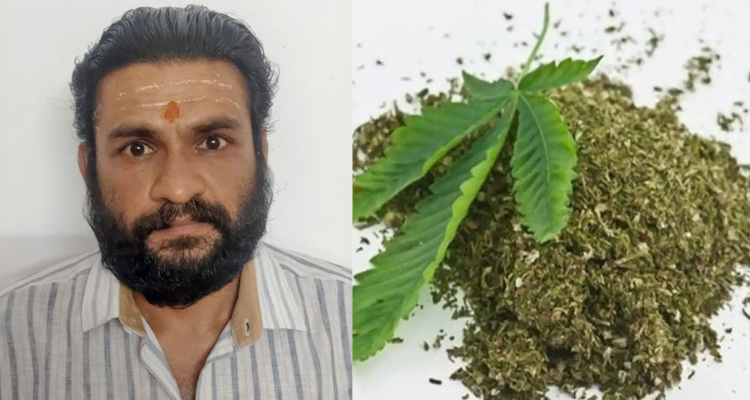 astrologer arrested with ganja