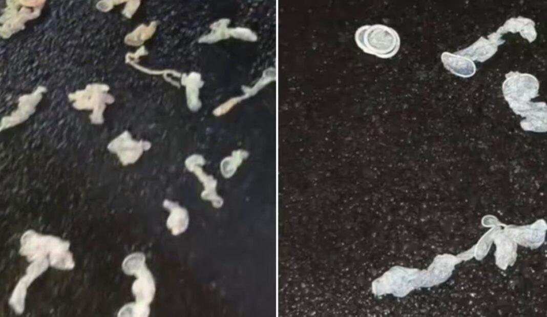Used Condoms Dumped