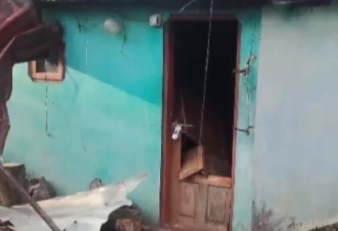 Chinnakanal Wild Elephant Attack