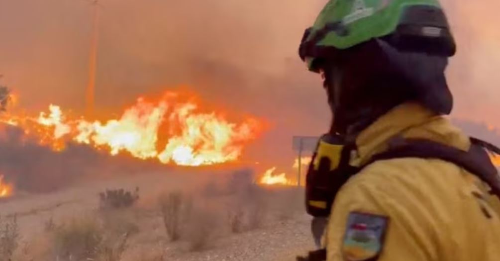 Massive Wildfire In Southern Spain