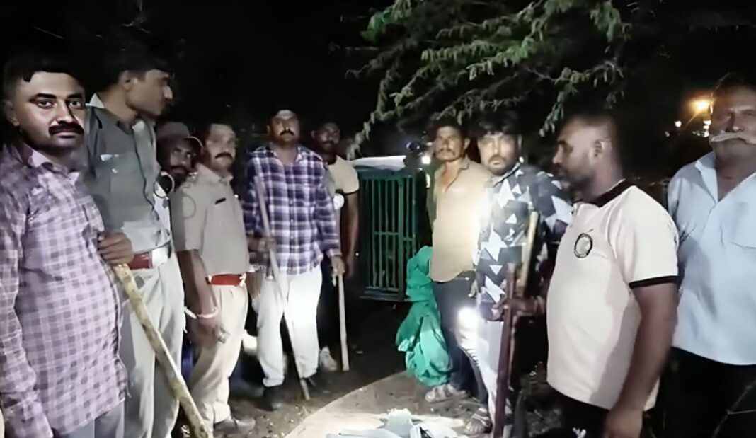Gujarat man killed in lion attack