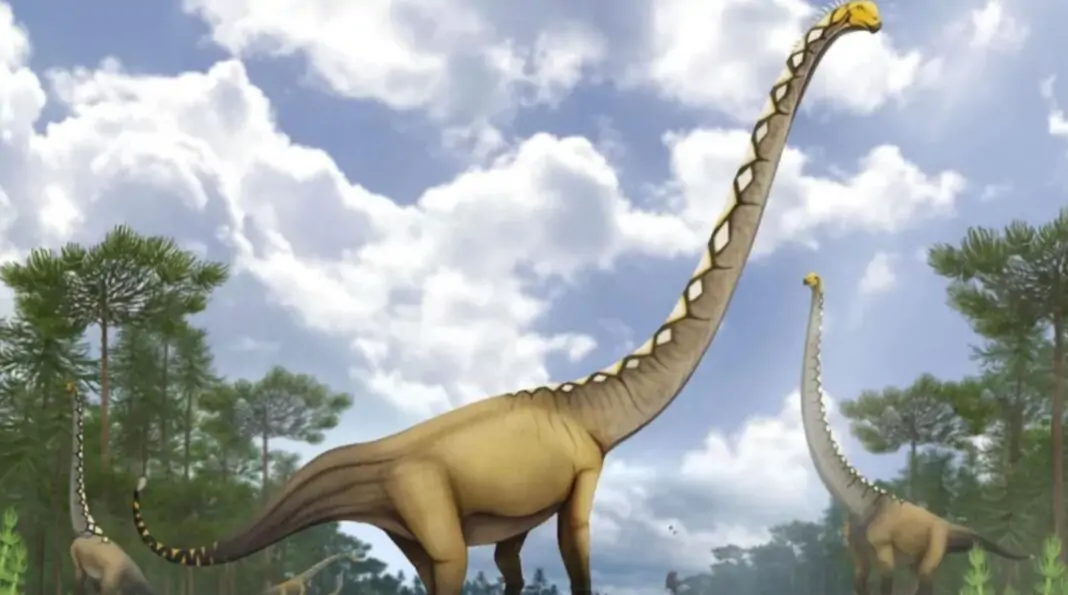 New dinosaur species