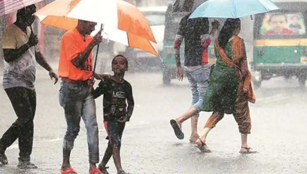 Gujarat Heavy Rain