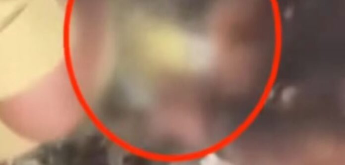 Human skull found Human skull found
