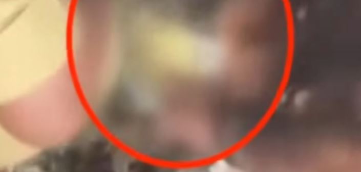 Human skull found