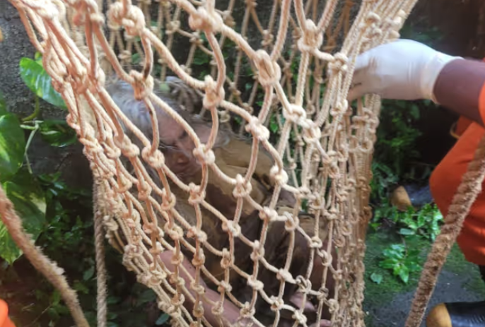 Septic Tank Accident Kalliyoor