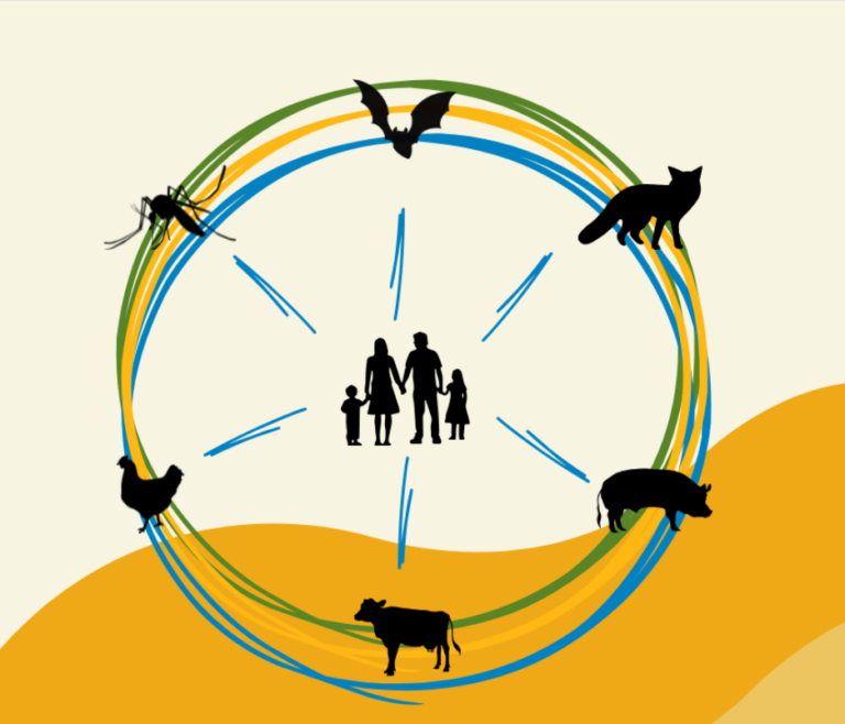 World Zoonoses Day