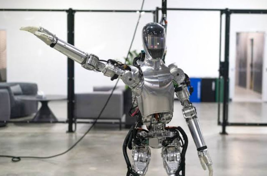 Robot Rental