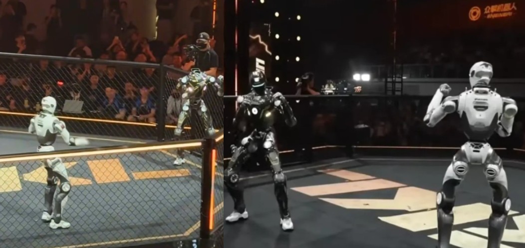 China Humanoid Robot Fight