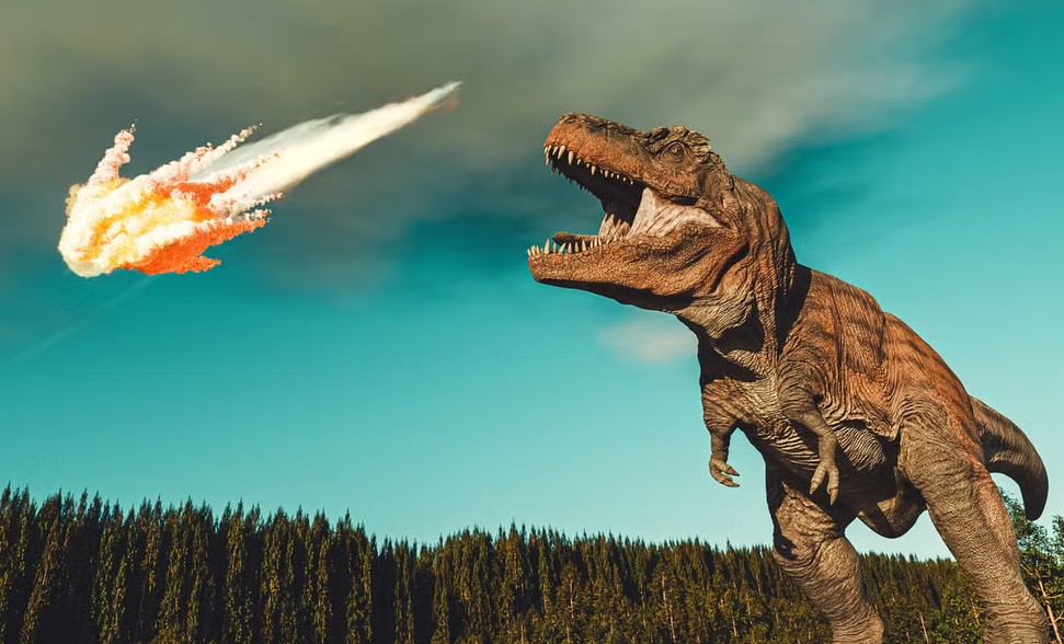Dinosaur Killing Meteorite