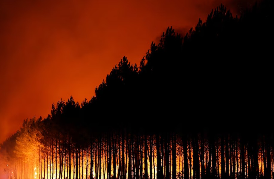Wildfires In Southwestern France