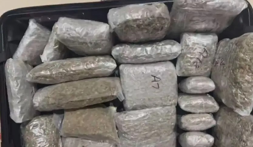 Ahmedabad Airport Drug Bust