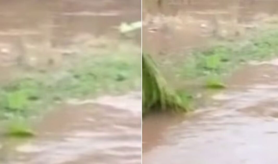 Thrissur Heavy Rain
