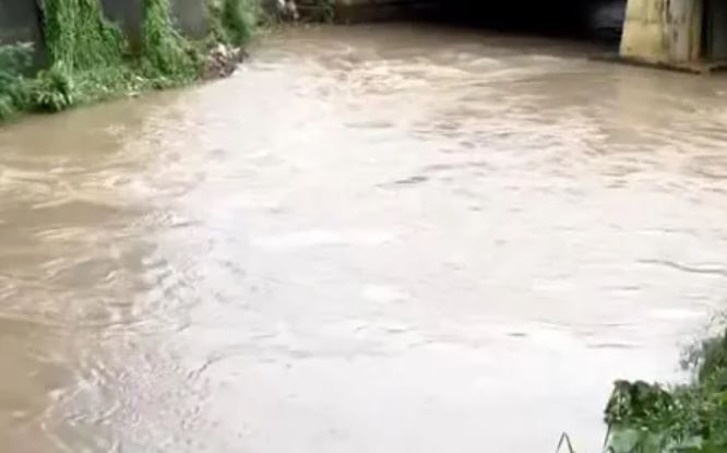 Central Water Commission